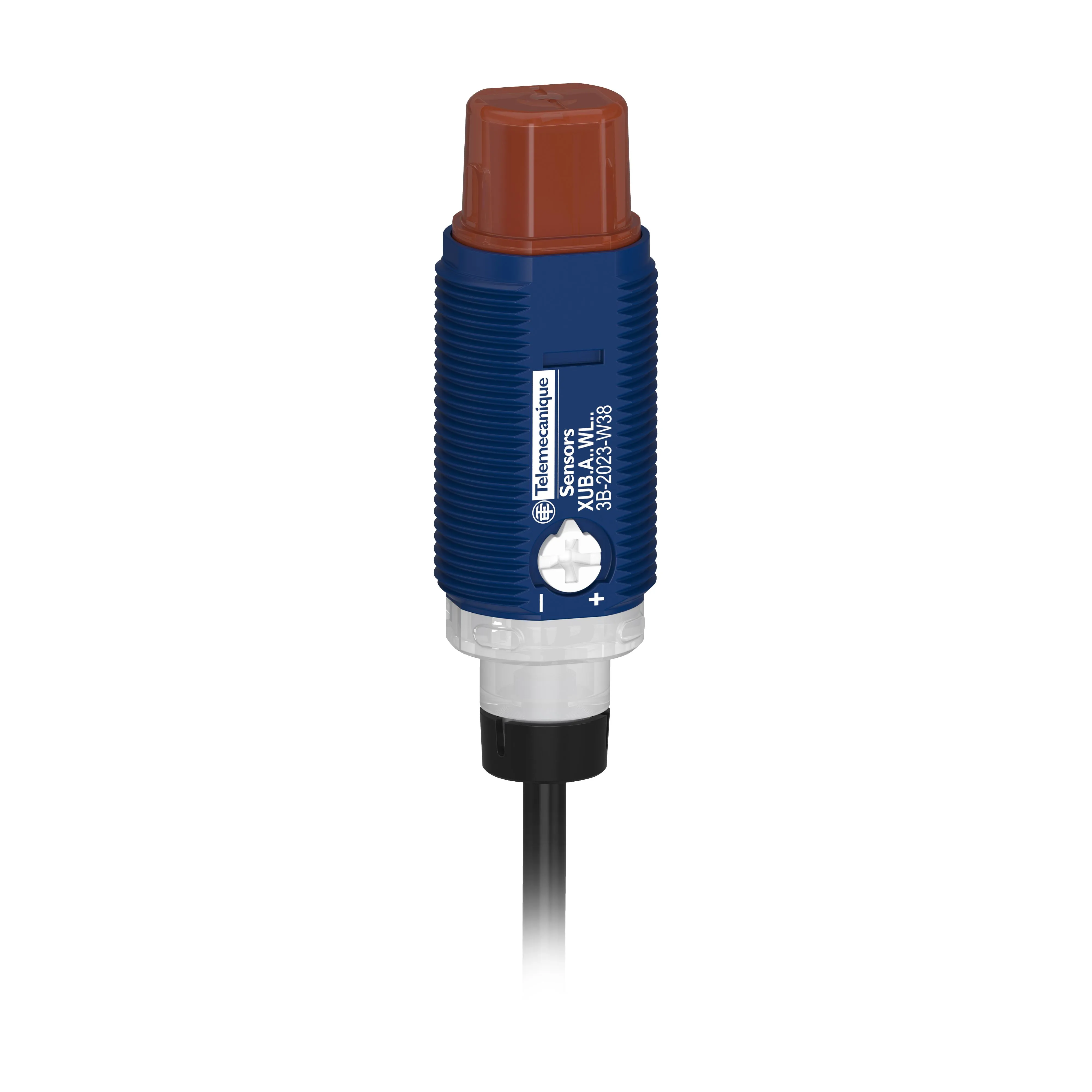 Sensore fotoelettrico Cilindrico Telemecanique Sensors, a diffusione, rilevamento 0,5 m, uscita Discreto