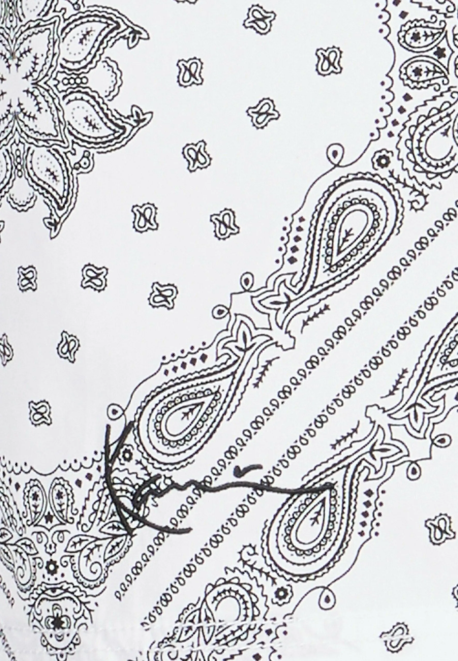 SMALL SIGNATURE PAISLEY BLOCK RESORT - Pantaloni sportivi