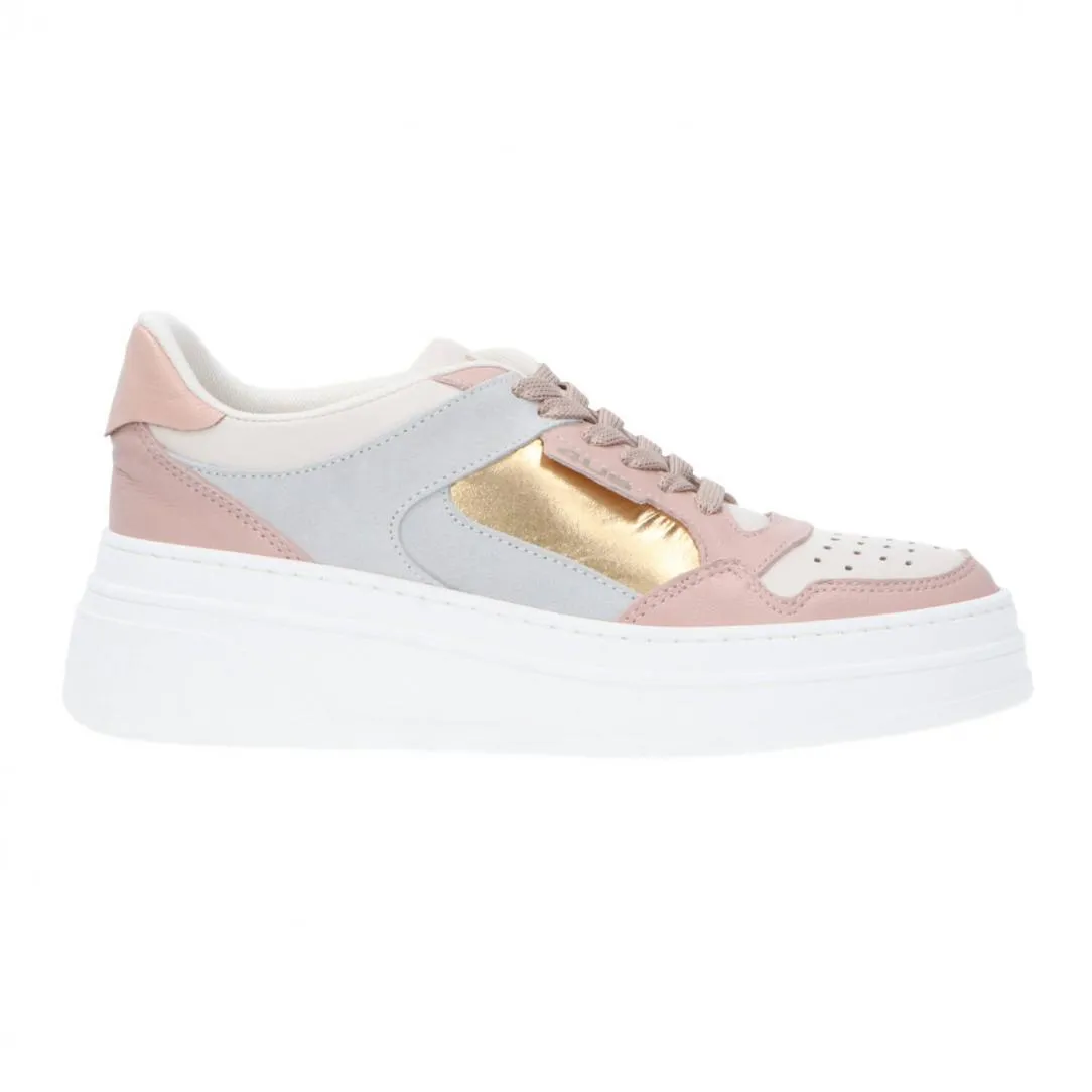 TAYLOR 05-06 Rosa